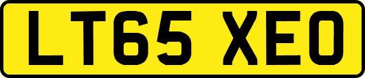 LT65XEO