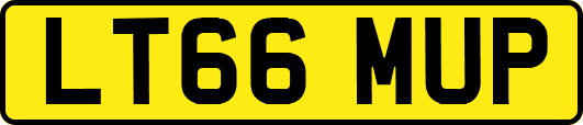 LT66MUP