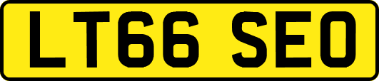 LT66SEO