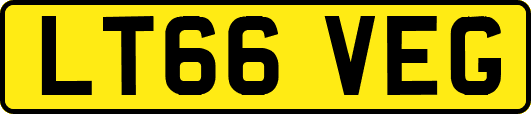 LT66VEG