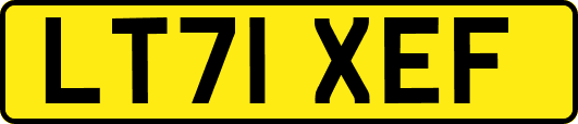 LT71XEF