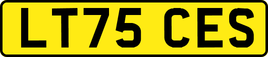 LT75CES