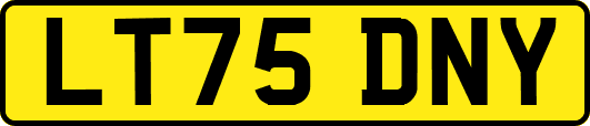 LT75DNY