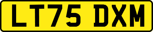 LT75DXM