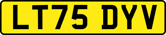 LT75DYV