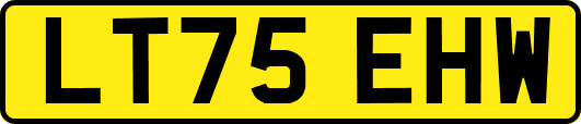 LT75EHW
