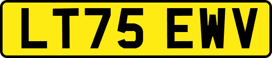 LT75EWV