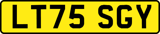 LT75SGY