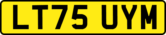 LT75UYM