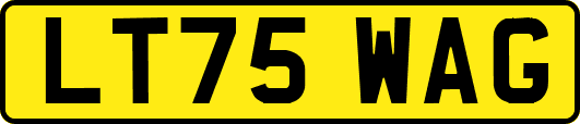 LT75WAG