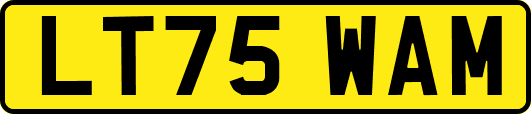 LT75WAM