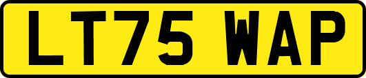 LT75WAP