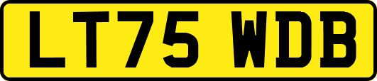 LT75WDB