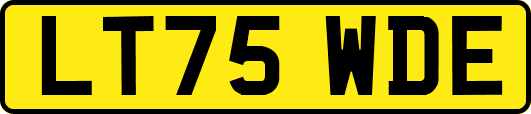 LT75WDE