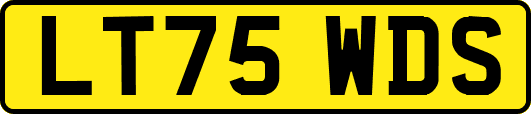 LT75WDS