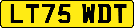 LT75WDT