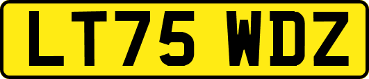 LT75WDZ