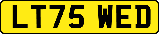 LT75WED