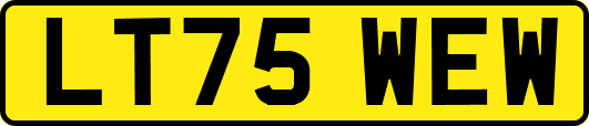 LT75WEW