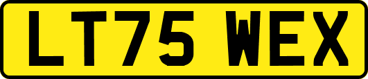 LT75WEX