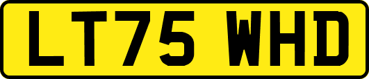 LT75WHD