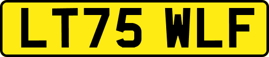 LT75WLF