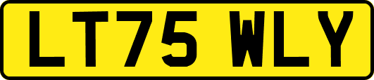 LT75WLY