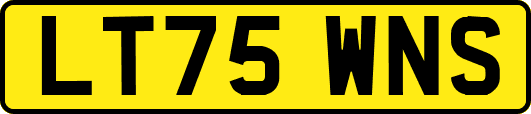 LT75WNS