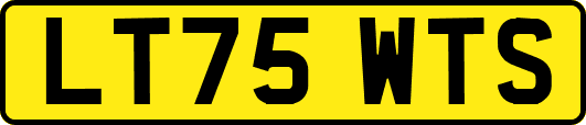 LT75WTS