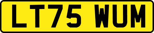 LT75WUM