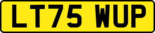 LT75WUP