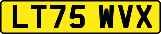 LT75WVX
