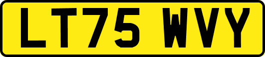 LT75WVY