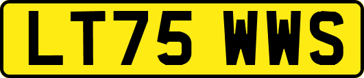 LT75WWS