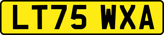 LT75WXA