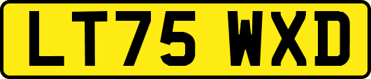 LT75WXD