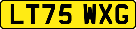 LT75WXG