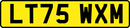 LT75WXM