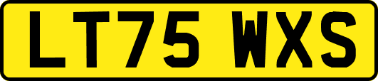 LT75WXS