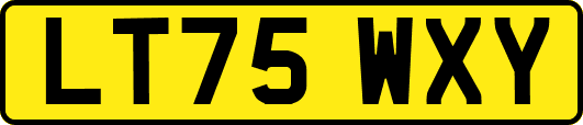 LT75WXY