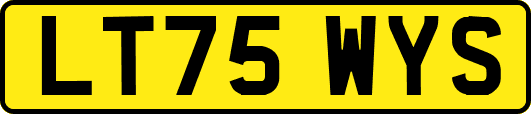 LT75WYS