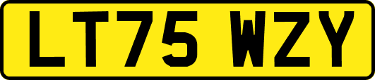 LT75WZY