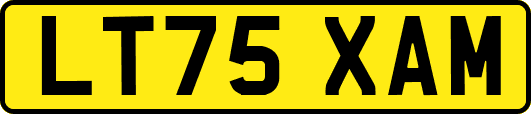 LT75XAM