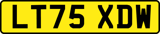 LT75XDW