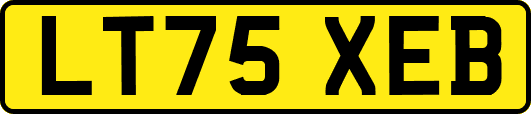 LT75XEB