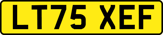LT75XEF