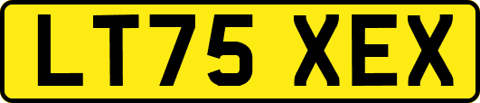 LT75XEX