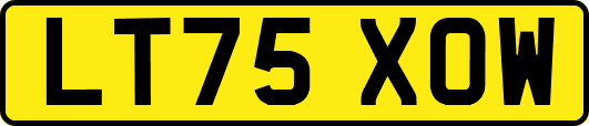 LT75XOW