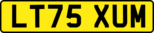 LT75XUM