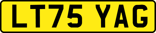 LT75YAG